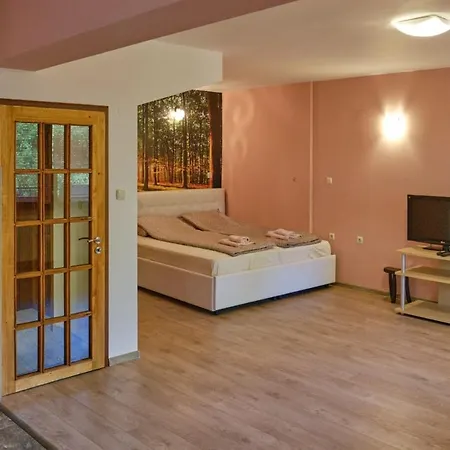 Mushrooms House Апартаменты Плевна