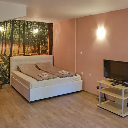 Mushrooms House Апартаменты Плевна