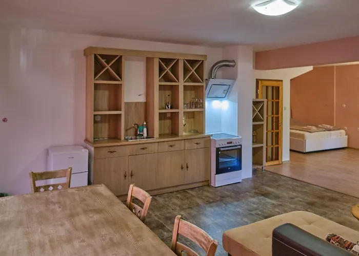 Mushrooms House * Pleven