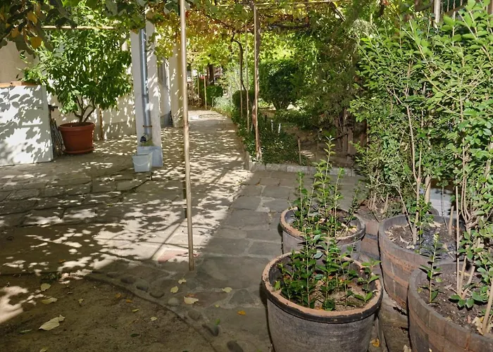 Mushrooms House Appartamento Pleven